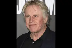 Actor Gary Busey, 81, pleads guilty to groping woman at 2022 Cherry Hill event